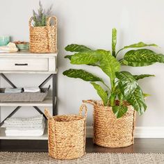 three baskets with plants in them sitting on the floor next to a dresser and shelf