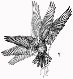 a black and white drawing of a bird flying