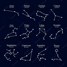 zodiac signs and their names in the night sky