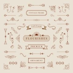 a set of vintage flourishes and ribbons