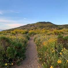 a dirt path leading to a hill covered in wildflowers