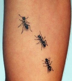 two black bugs on the back of a woman's thigh, with one spider crawling behind it