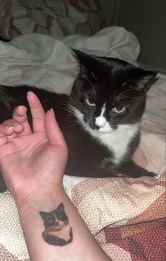 a black and white cat sitting on top of a bed next to a person's hand