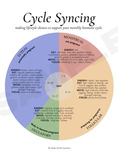 Hormone Cycle, Cycle Synching, Hormone Nutrition, دورة شهرية, Functional Health, Magia Das Ervas, Cycle Syncing, Healthy Hormones, Happy Hormones