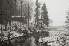 a stream running through a snow covered forest next to a river with lots of trees