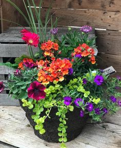 an arrangement of flowers in a pot sitting on a wooden bench next to some pallets