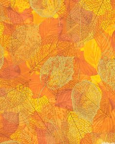 an orange and yellow background with lots of different colored leaves on it's surface