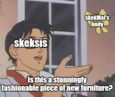 an image of a cartoon character saying skeksis is this a stinky fashionably piece of new furniture?