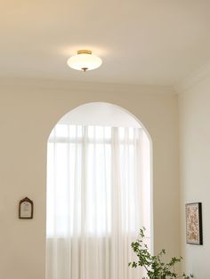 an arched window with sheer curtains and a potted plant on the table in front of it