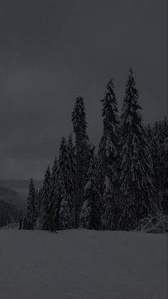 a group of people riding skis on top of a snow covered slope next to trees