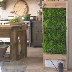 a kitchen filled with lots of green vegetables