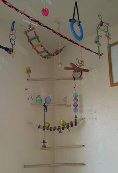 a room with various items hanging from the ceiling and on the wall, including toys