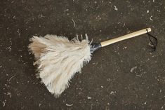 a feather duster laying on the ground