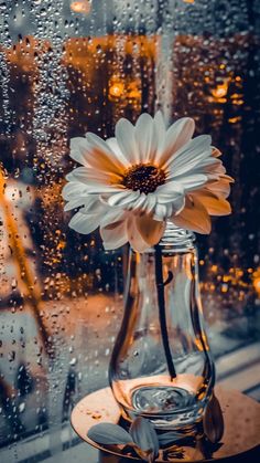 a glass vase with a flower in it sitting on a table next to a window