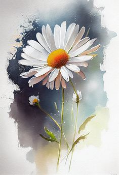 a watercolor painting of a white daisy