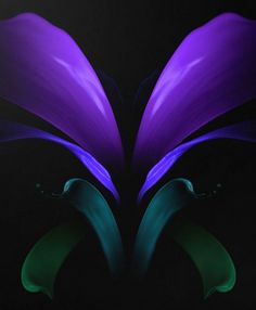 two purple and green flowers on a black background