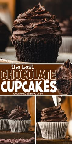 the best chocolate cupcakes are on display