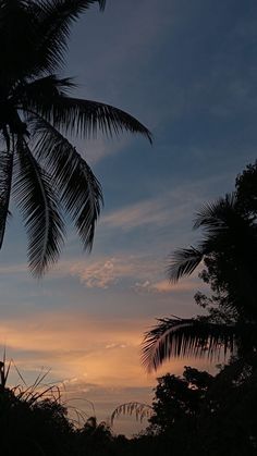 the sun is setting behind some palm trees