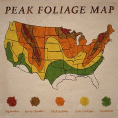 a map of the united states with colored areas labeled in red, yellow and green