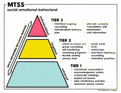 High School Counselor Organization, School Psychology Resources, Middle School Counselor, School Guidance Counselor, Psychology Resources, School Counselor Office, Guidance Counseling