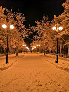 a snow covered park at night with street lights