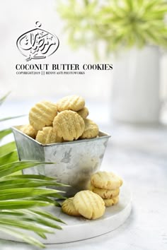 some cookies are in a metal bowl on a white plate next to palm leaves and a potted plant