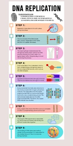 a poster with instructions on how to use the dna replicaion for medical purposes