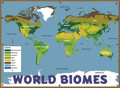 Read Or Download Desert Biomes Around The World Map at Dessert Destination School Introduction, Bio Project, Rainforest Biome, French Greetings, Desert Biome, Summer In France, Southern Ocean, Kids Worksheets, Bulletin Board Sets