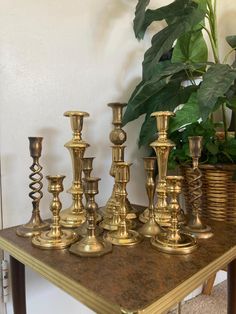 brass candlesticks are lined up on a table next to a potted plant