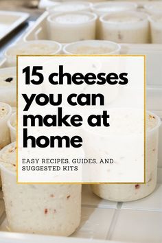 cheeses you can make at home easy recipes, guides and suggestions