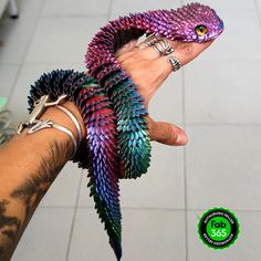 a hand holding a purple and green lizard on it's palm