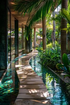 Jungle House, Indoor Swimming Pool, Pond Design, Indoor Swimming, Backyard Retreat, Luxury Homes Dream Houses, Design Your Dream House, Tropical Garden