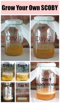 the instructions for how to grow your own scoby in a glass jar with white ribbon