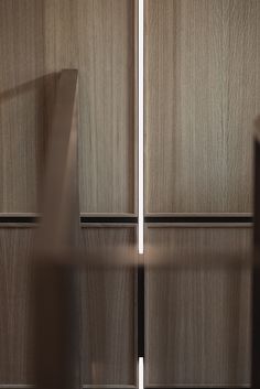 two wooden doors with metal handles in a room