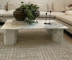 a living room with a couch, coffee table and potted plant on the floor