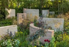 an outdoor garden with various plants and flowers on the ground, surrounded by stone walls