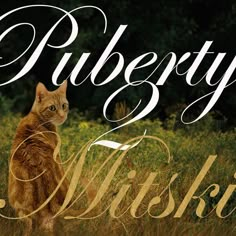 a cat is sitting in the grass with words that say, puberty wiskle