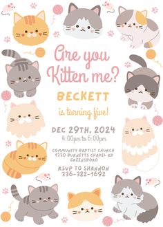 a birthday party with cats and kittens on the front, which says are you kitten me?