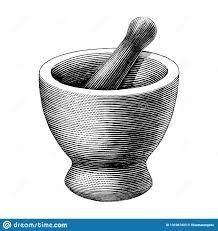 an illustration of mortar and pestle in a mortar bowl, vintage engraved or engraved