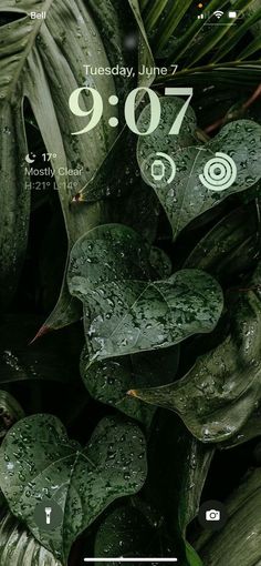 an image of the screen on a cell phone with water droplets and leaves in it