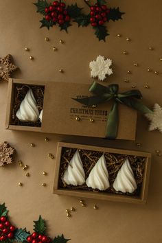 three christmas tree shaped cookies in a box with holly decorations on the wall behind them