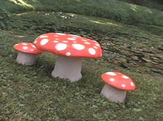 two mushrooms sitting on the ground in front of some water and grass with trees behind them