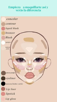 Makeup For Face Type, 90 Makeup Inspiration, Makeup Layout On Face, Where To Place Makeup On Face, Where To Put Makeup On Face, Makeup Placement Face, Makeup Map, Makeup Placement, Makeup Chart