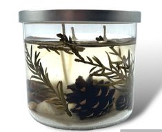 a glass jar filled with water and pinecone branches in it's bottom