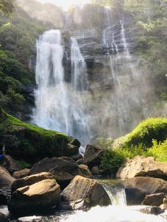 a man standing next to a waterfall in the middle of a lush green forest filled with lots of trees