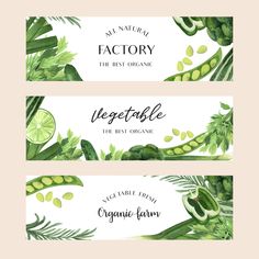 two watercolor banners with green vegetables and leaves on them, one is for the best organic