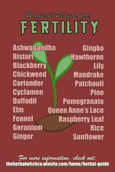 Herb Correspondences, Pregnancy Herbs, Herbs For Fertility, Plants And Their Uses, Pregnancy Spells, Fertility Spells, Magical Plants, Fertility Help, Herbal Remedies Recipes