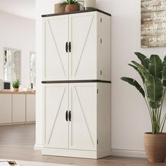 a tall white cabinet with two doors in a room next to a potted plant