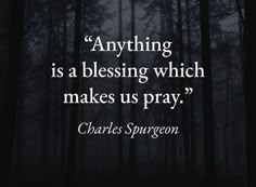 a quote from charles spurson about anything is a blessing which makes us pray