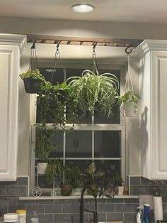 a kitchen window with potted plants hanging from it's sides and on the windowsill